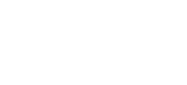 cd project red store